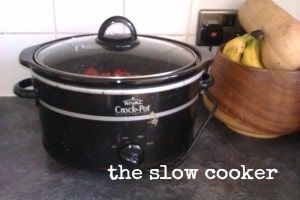 slow cooker