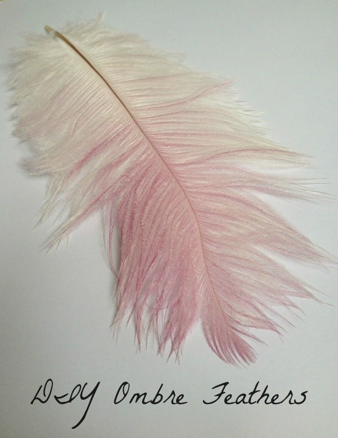 diy ombre feathers