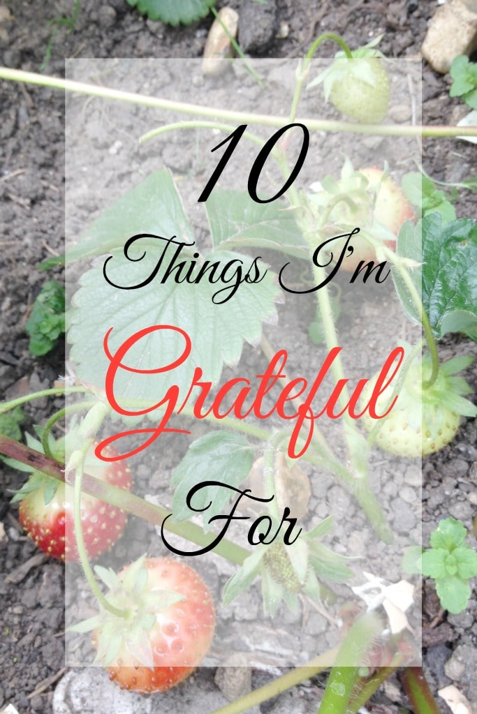 Things I'm grateful for