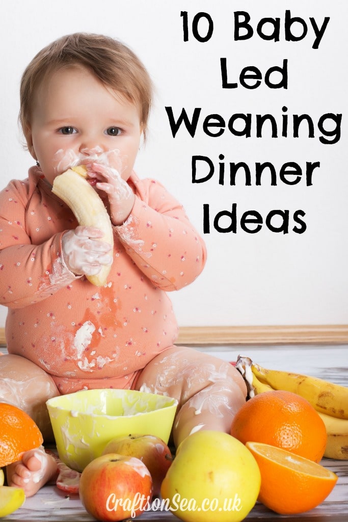 10 Baby Led Weaning Dinner Ideas