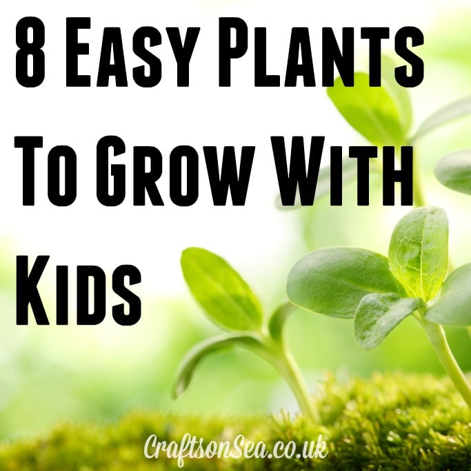 plants to grow with kids